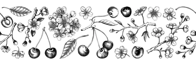 Spring border design. Cherry blossom seamless pattern, engraved style.Sakura flowers, berry fruit hand drawin vector illustrations. NOT AI generated